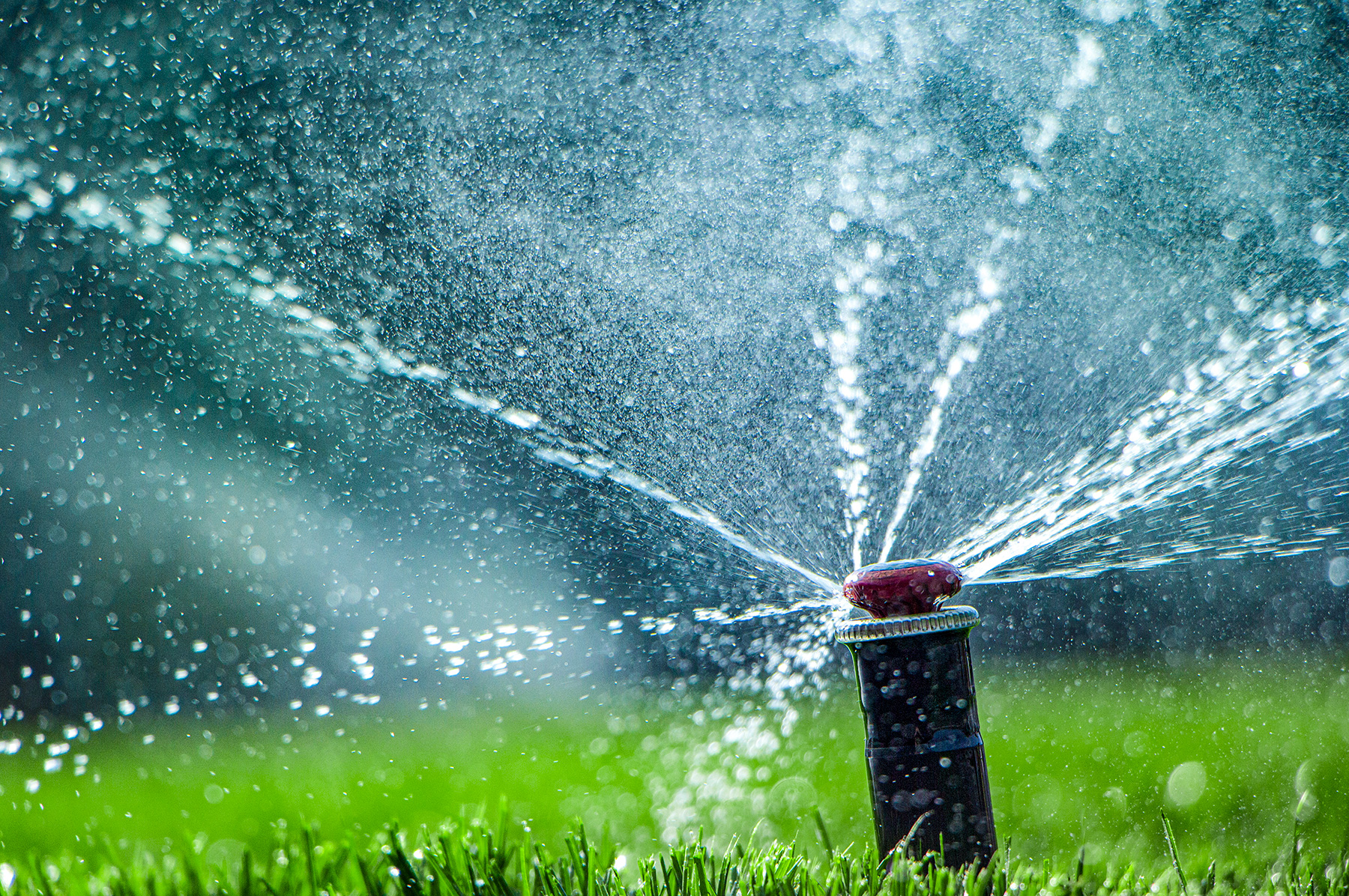 What is a Sprinkler Spring Start Up?