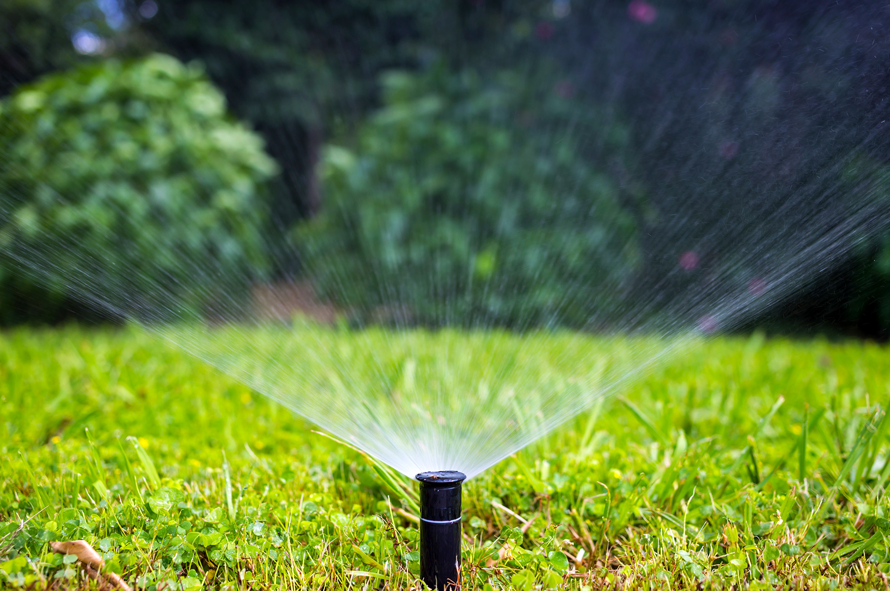Tips to Conserve Water in your Landscape